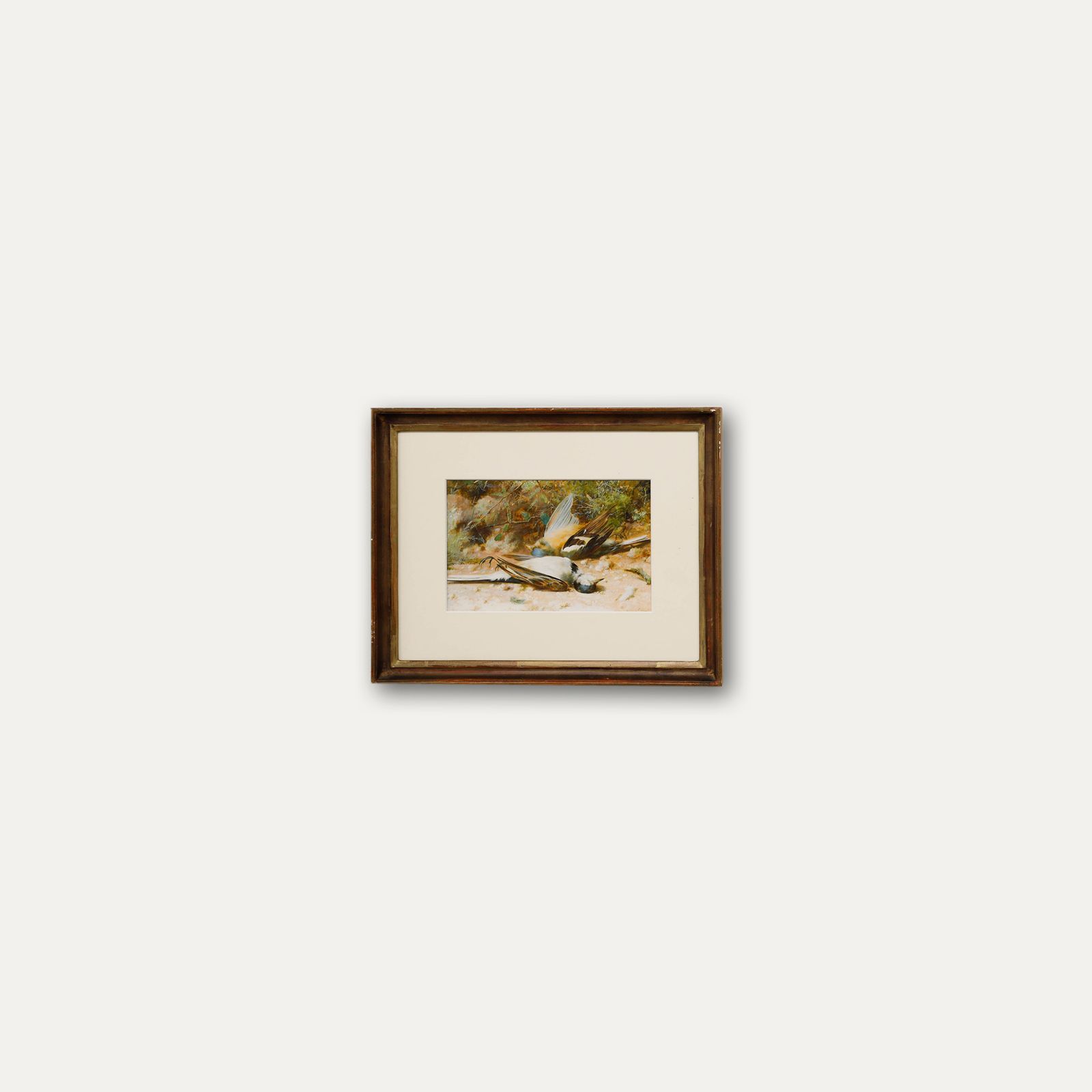 William Cruikshank (1848 1922) 19th Century Watercolour, Yellow Wagtails photo buy