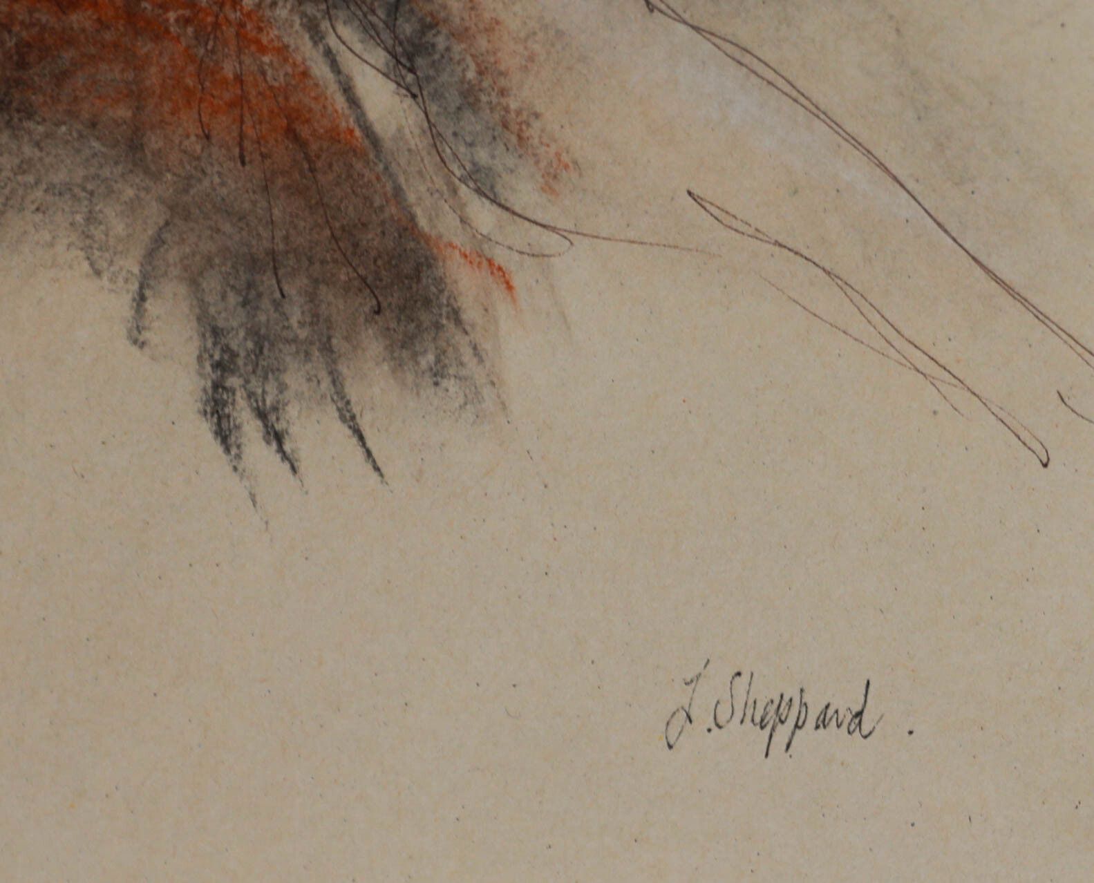 J. Sheppard Framed 20th Century Mixed Media, Seated Nude photo vinterior