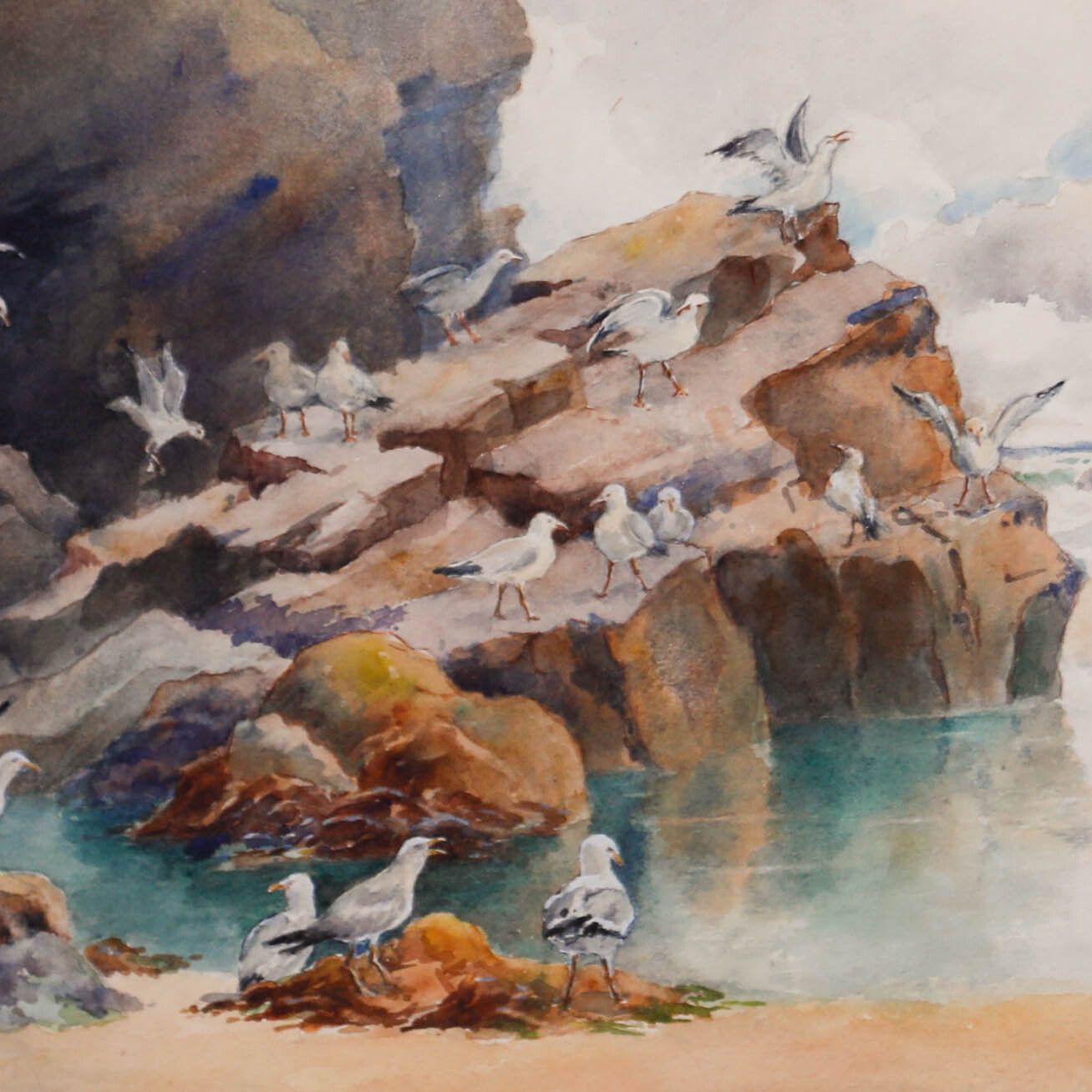 Ernest James Stone C.1914 Watercolour, Gulls And Rocks, Trevone photo Art