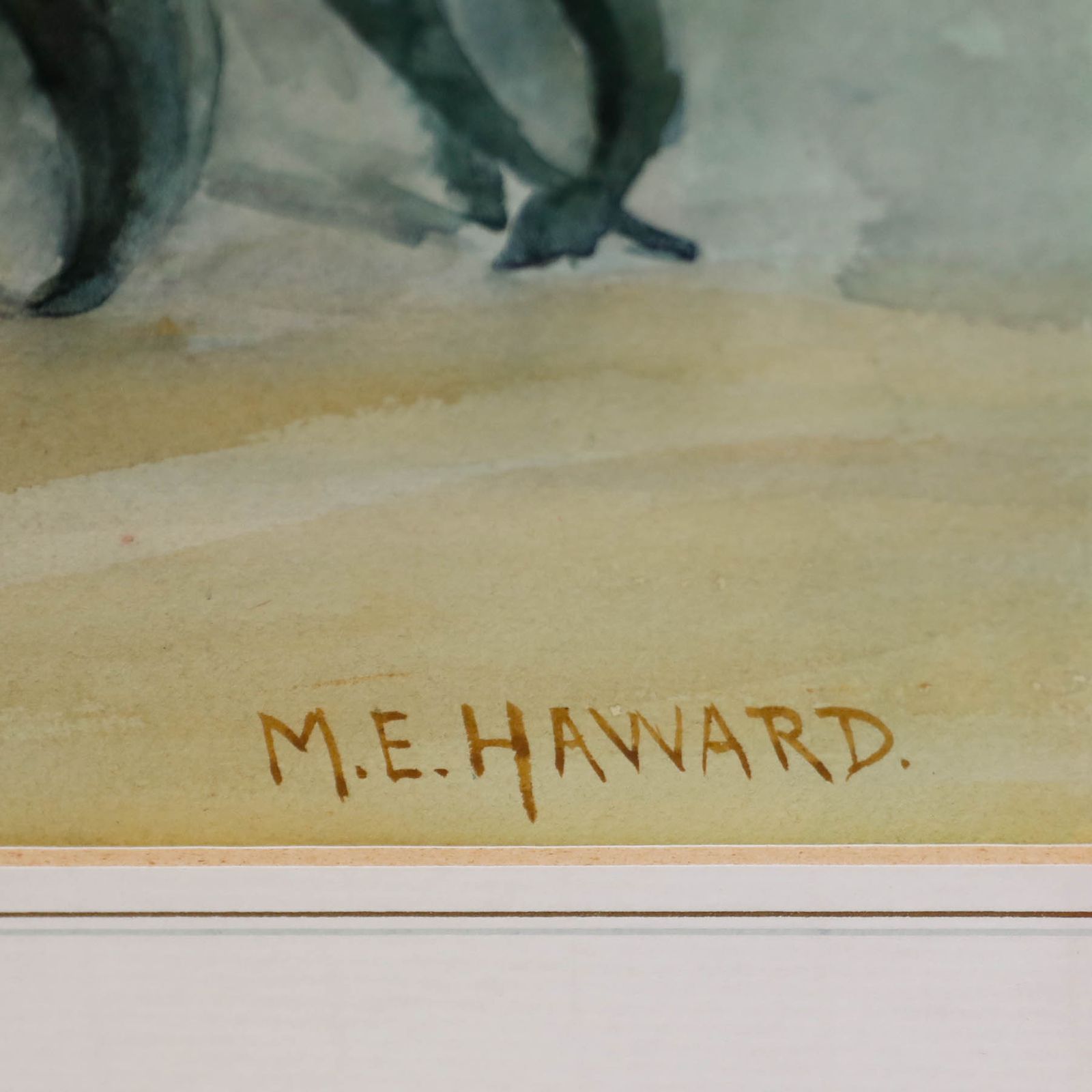 Mary Ellen Haward Early 20th Century Watercolour, Still Life With Hellebores photo vinterior