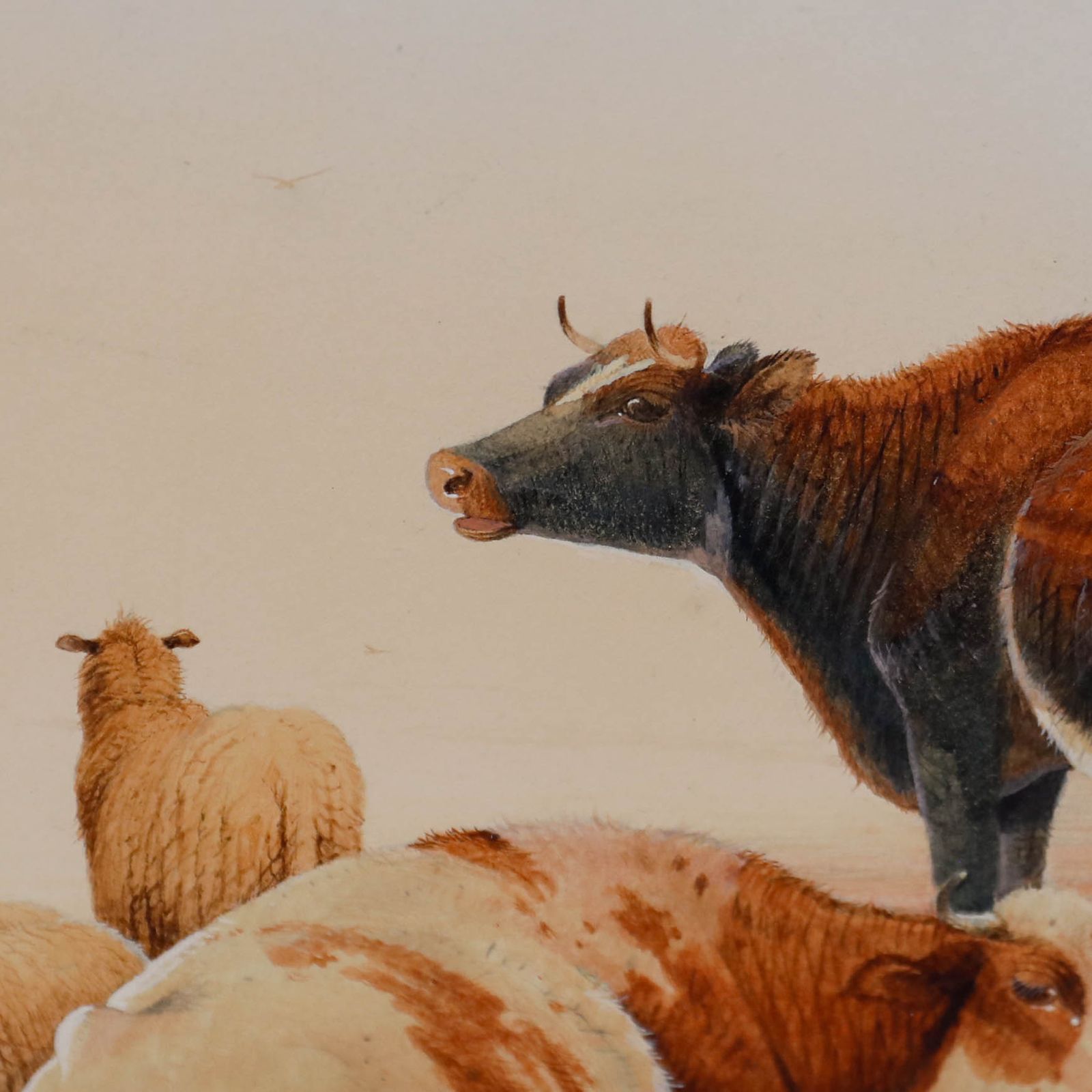 Frederick E. Valter (1860 1930) Framed Watercolour, Livestock In A Landscape photo Art