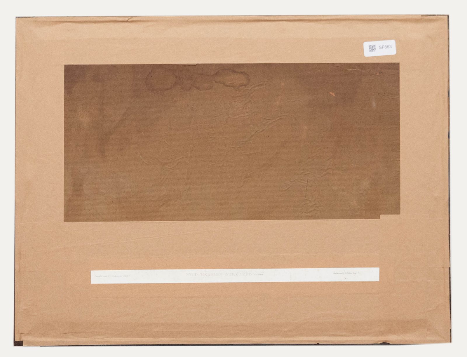 John Gould Framed 19th Century Lithograph, Sylochelidon Strenuus photo for sale