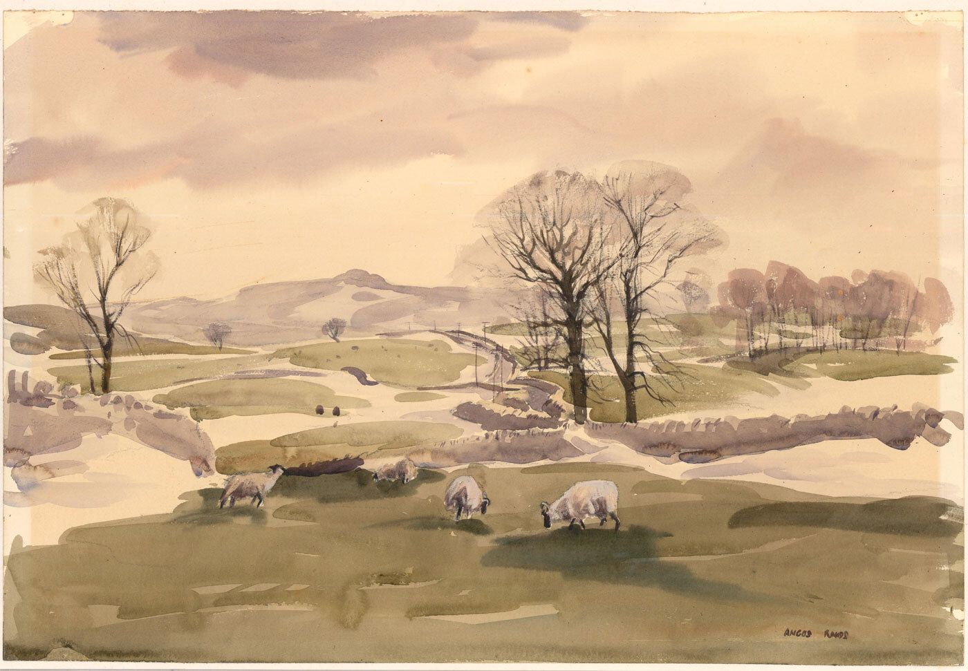 Angus Bernard Rands Ps (1922 1985) 20th Century Watercolour, Grazing Sheep photo furniture