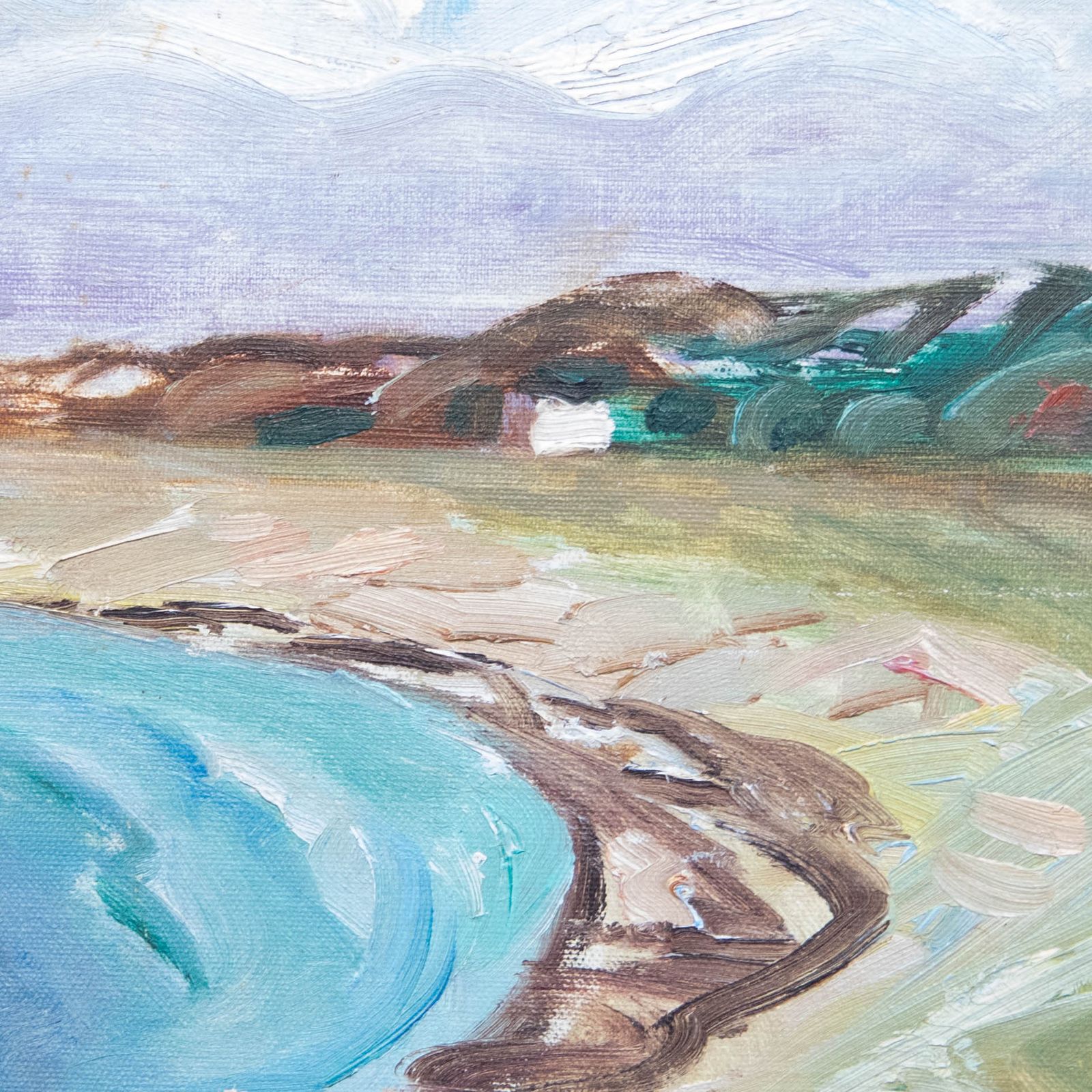 Vera Ekengren Framed 20th Century Oil, Seaweed Cove photo Art