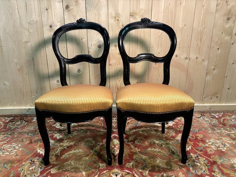 Paire De Chaises Napoléon III, 1800s