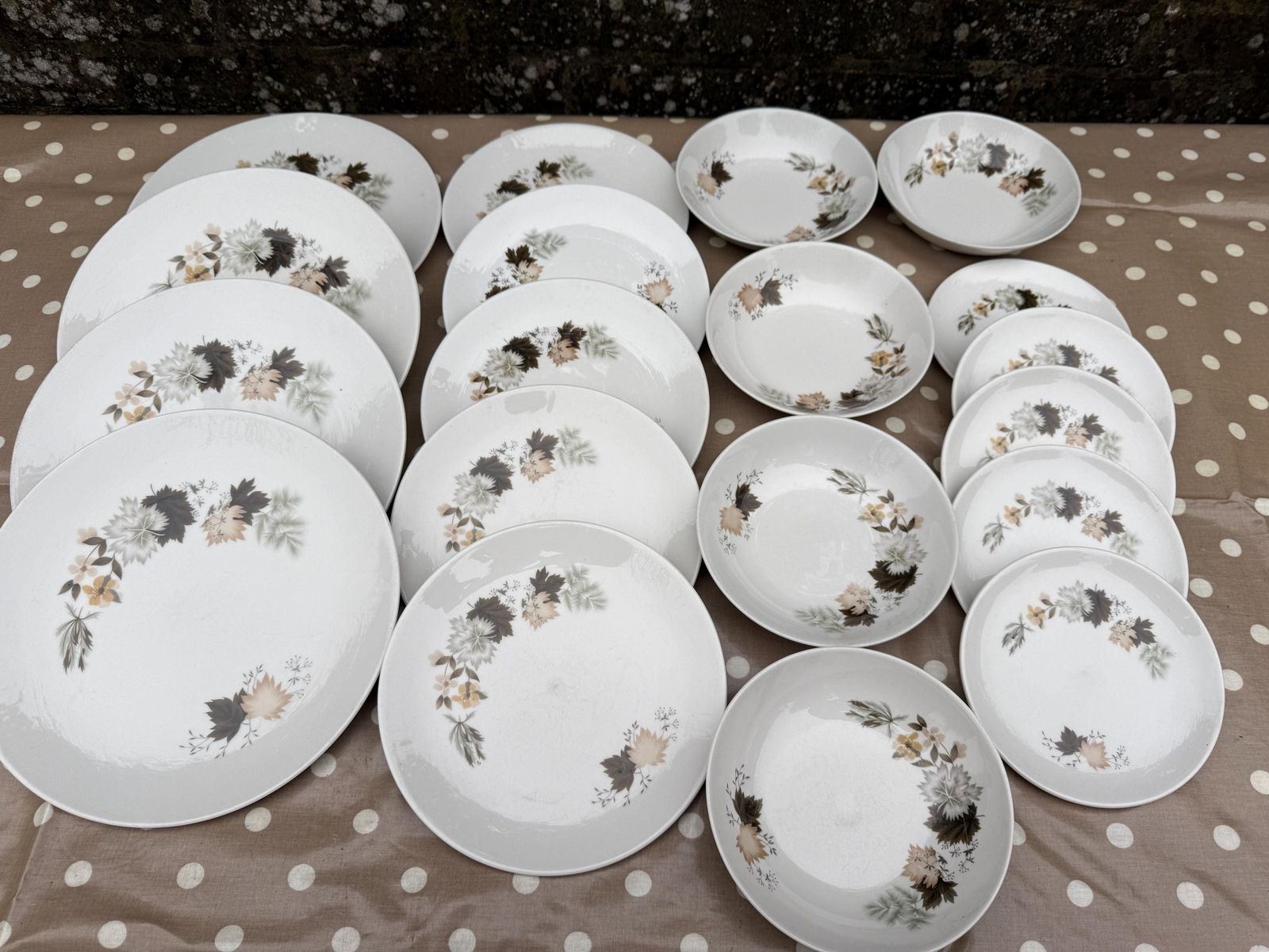 19 Piece Vintage Royal Doulton ‘Westwood’ Bone China   Part Dinner Service   Autumn Leaves