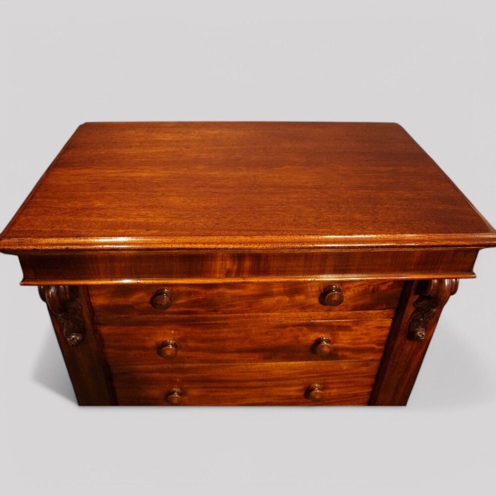 Victorian Mahogany Wellington Chest photo 3450.0
