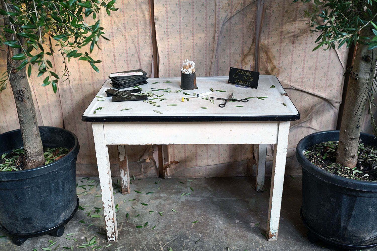 Bristol Zoological Gardens: An Early/Mid 20thc Painted Pine & Enamel Topped Veterinarian Table C.1940 photo furniture