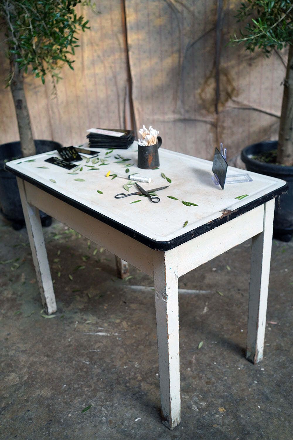 Bristol Zoological Gardens: An Early/Mid 20thc Painted Pine & Enamel Topped Veterinarian Table C.1940 photo 550.0