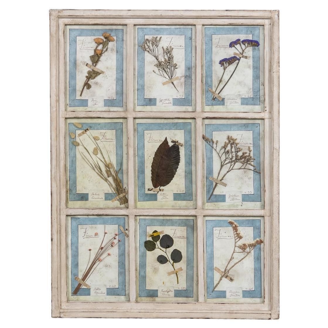 20th Century Italian Large Oak Frame Containing Pressed Flowers & Herbs