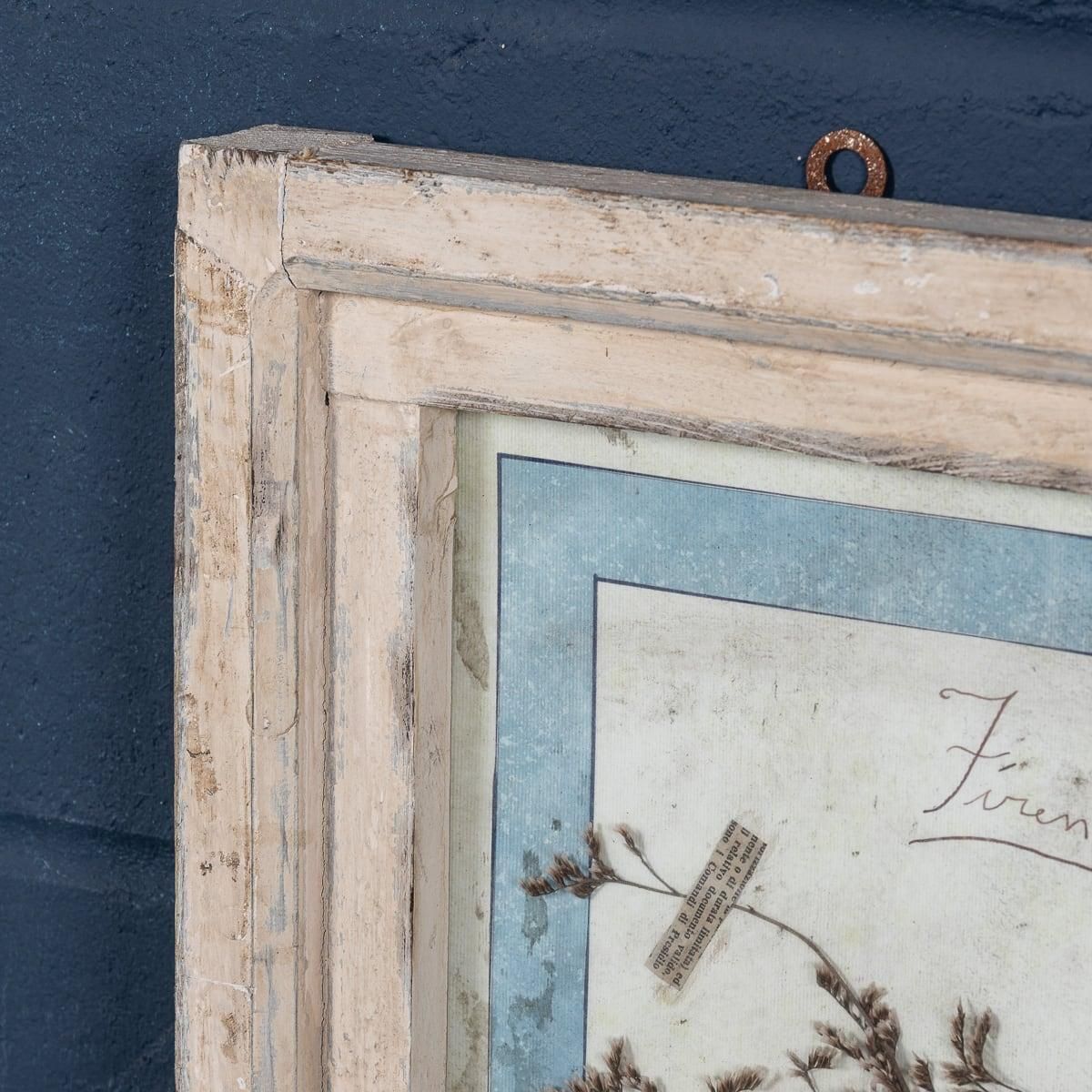 895.0 20th Century Italian Large Oak Frame Containing Pressed Flowers & Herbs photo
