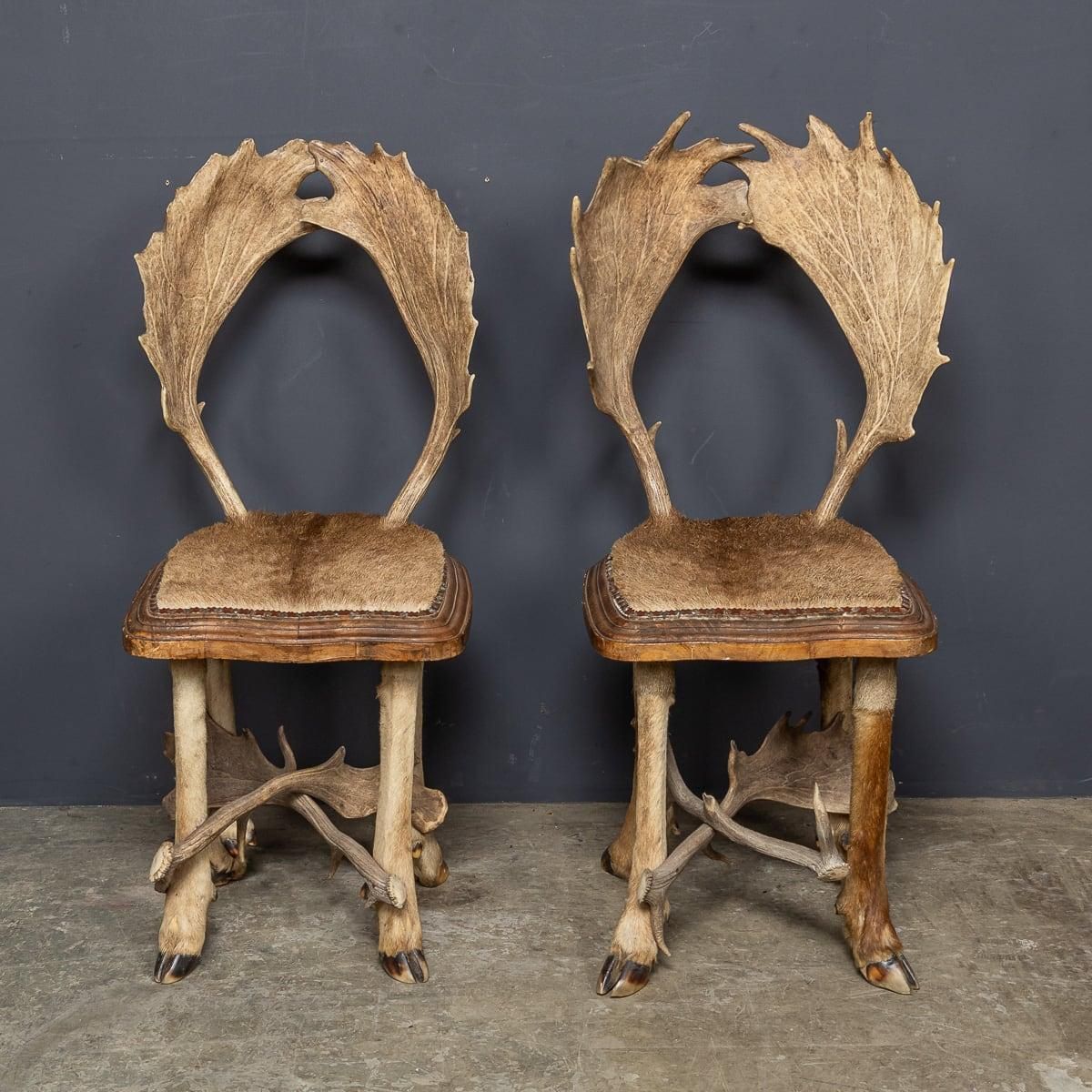 Antique 20th Century Austrian Pair Of Deer Antler Hall Chairs C.1900 photo for sale