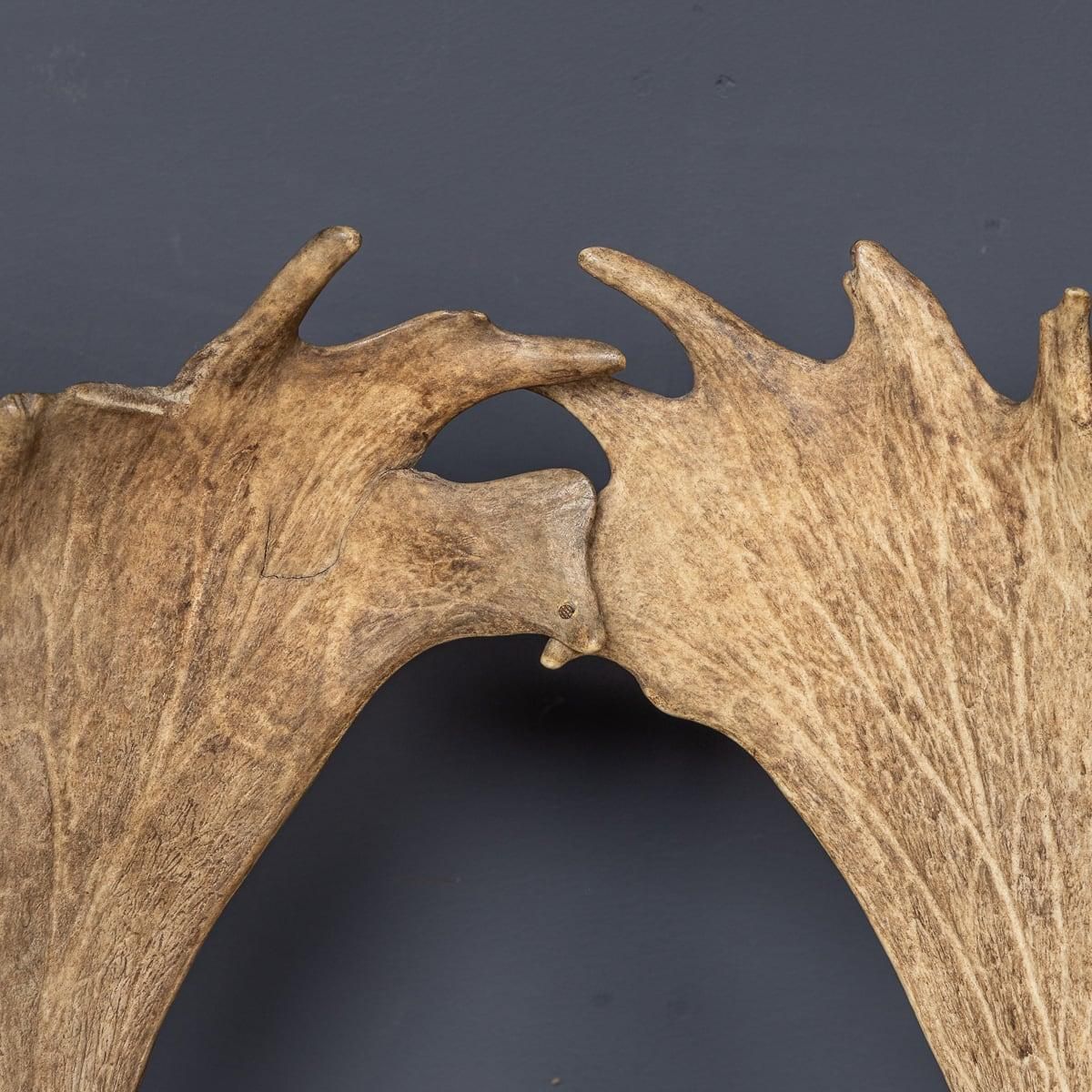 photo buy Antique 20th Century Austrian Pair Of Deer Antler Hall Chairs C.1900