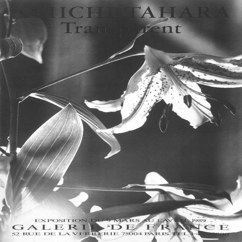 1989 Keiichi Tahara Galerie De France Poster photo for sale
