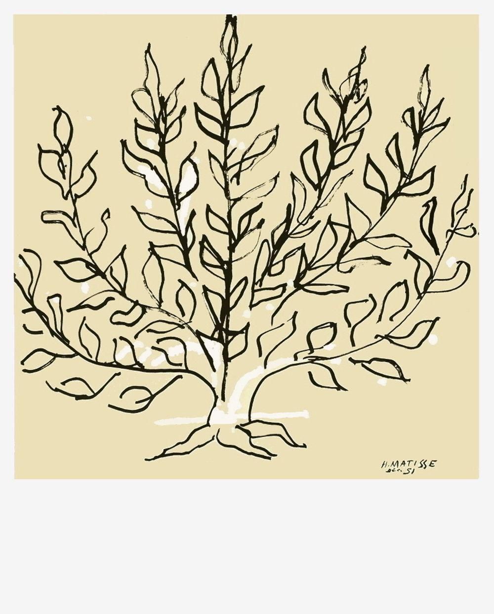 2019 After Henri Matisse Le Buisson Lithograph photo furniture