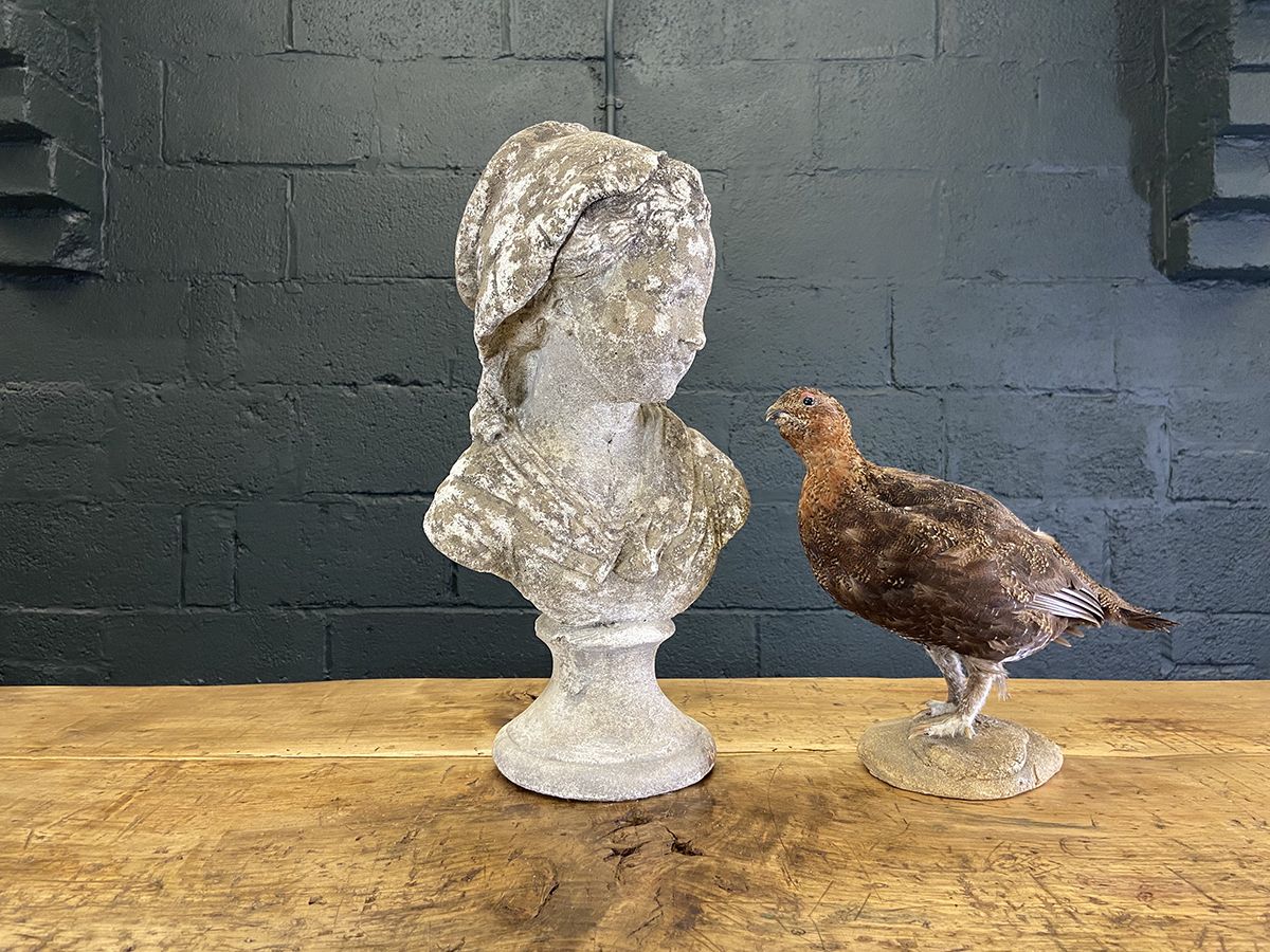 photo vintage French Cast Stone Bust Of A Girl