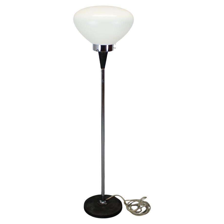 Mid Century Floor Lamp By J. Bejvl, Czechoslovakia, 1960s