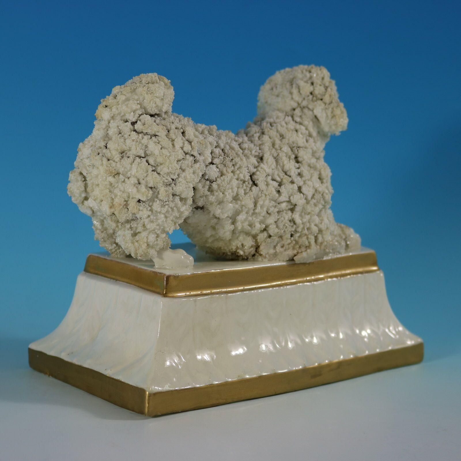 Large Staffordshire Pottery Porcellaneous Poodle photo for sale