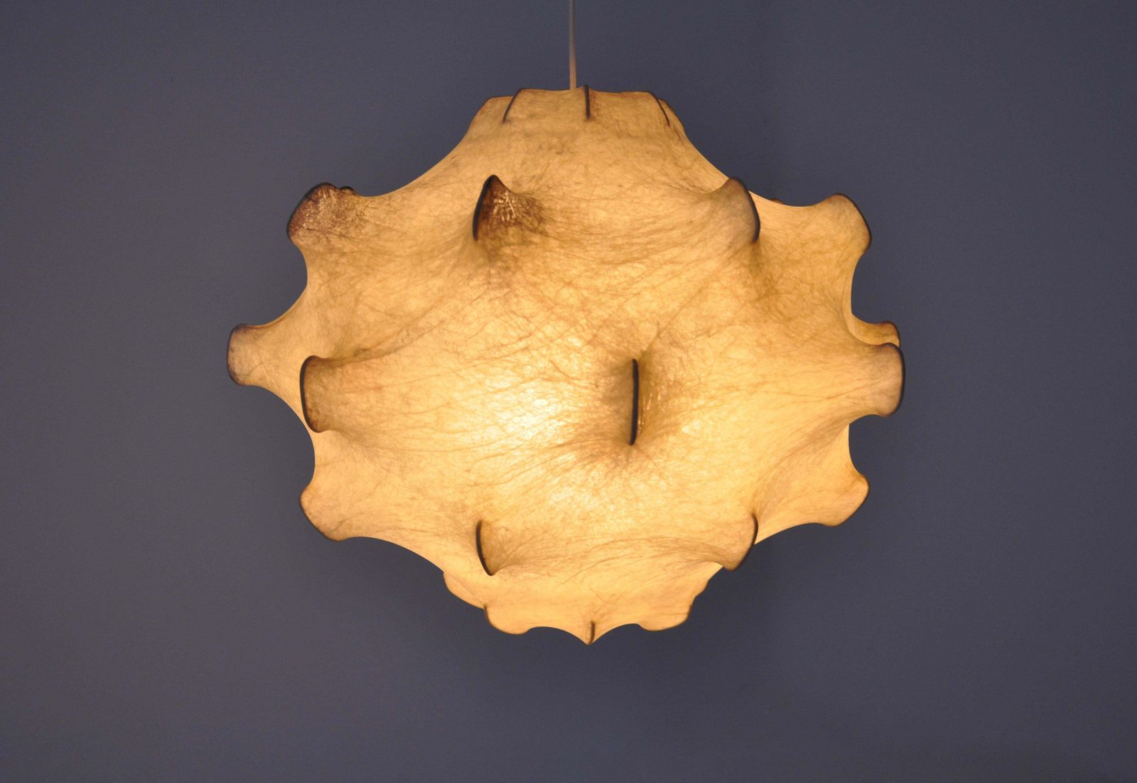 Taraxacum Hanging Lamp By Achille & Pier Giacomo Castiglioni For Flos, 1960s photo buy