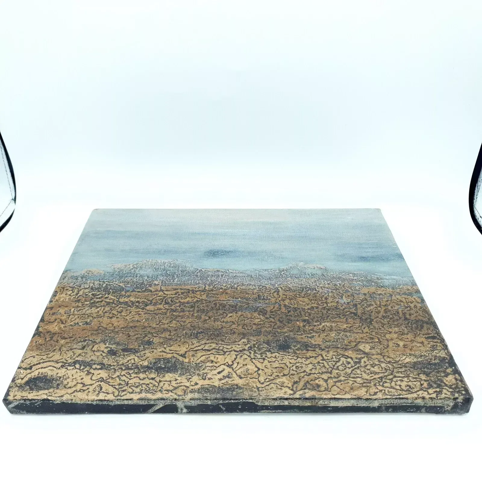 100.0 Signed Karen Picton Mud On Canvas Original Painting Dartmoor Earth Land Inspired photo