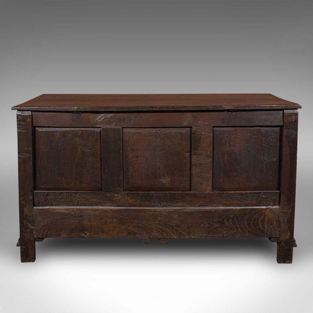 Antique 4 Panel Coffer, English, Oak, Linen, Mule Chest, Country House, Georgian photo 2650.0