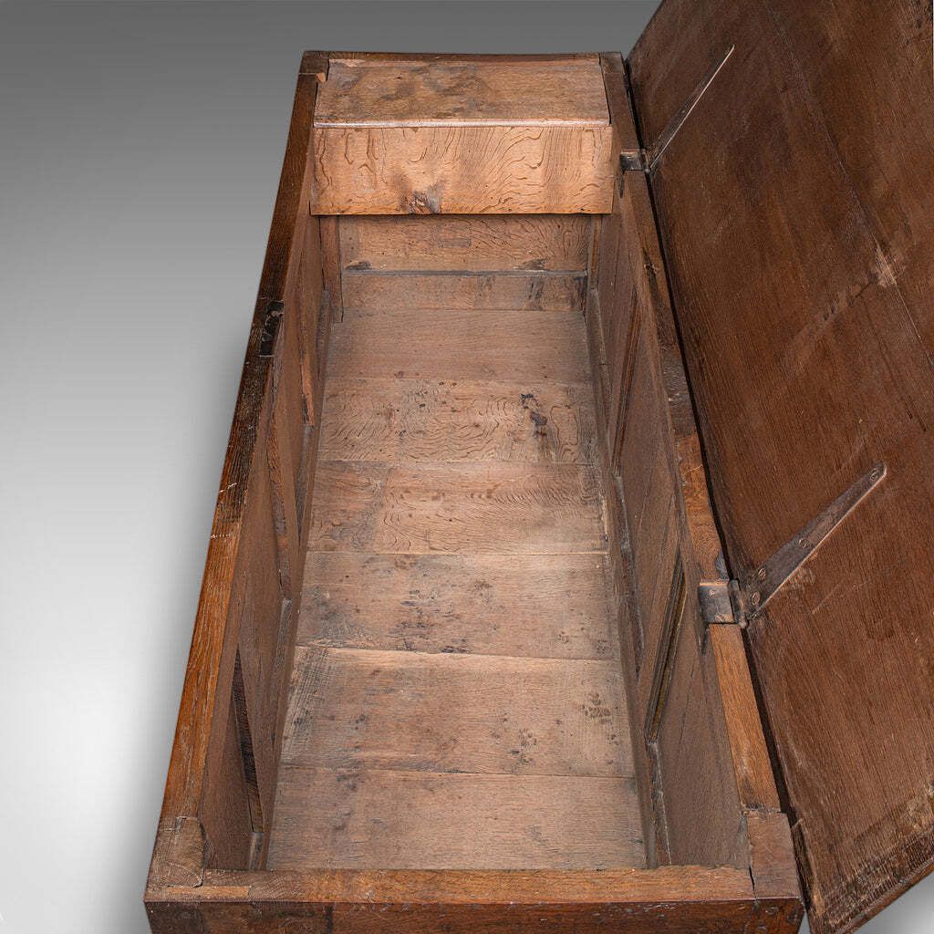 Antique 4 Panel Coffer, English, Oak, Linen, Mule Chest, Country House, Georgian photo vintage