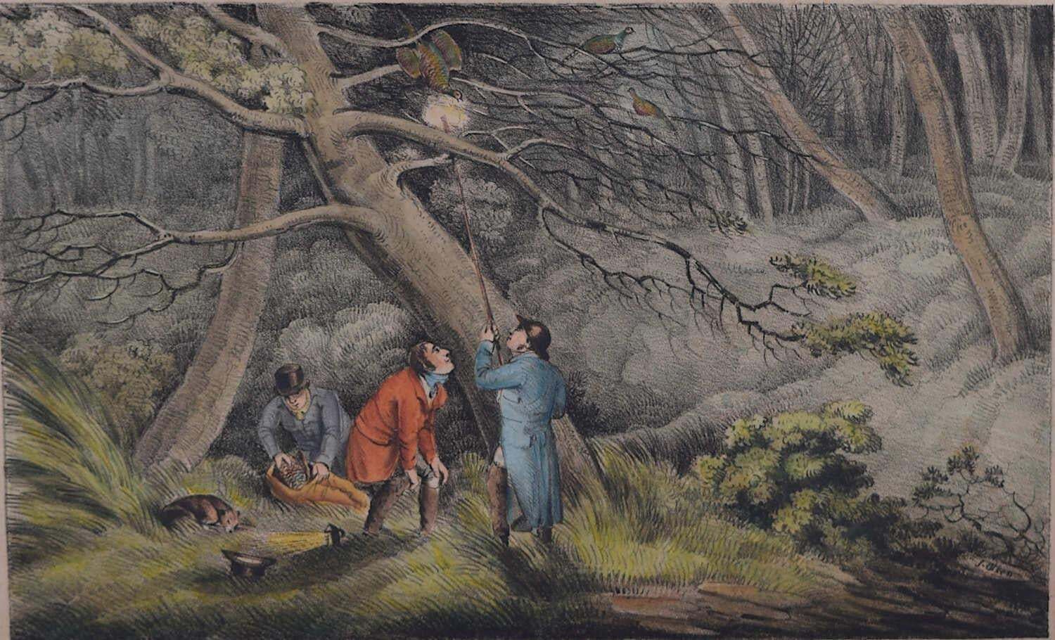 Delineations Of British Field Sports, Lithograph Series By Samuel Alken1822 photo vintage