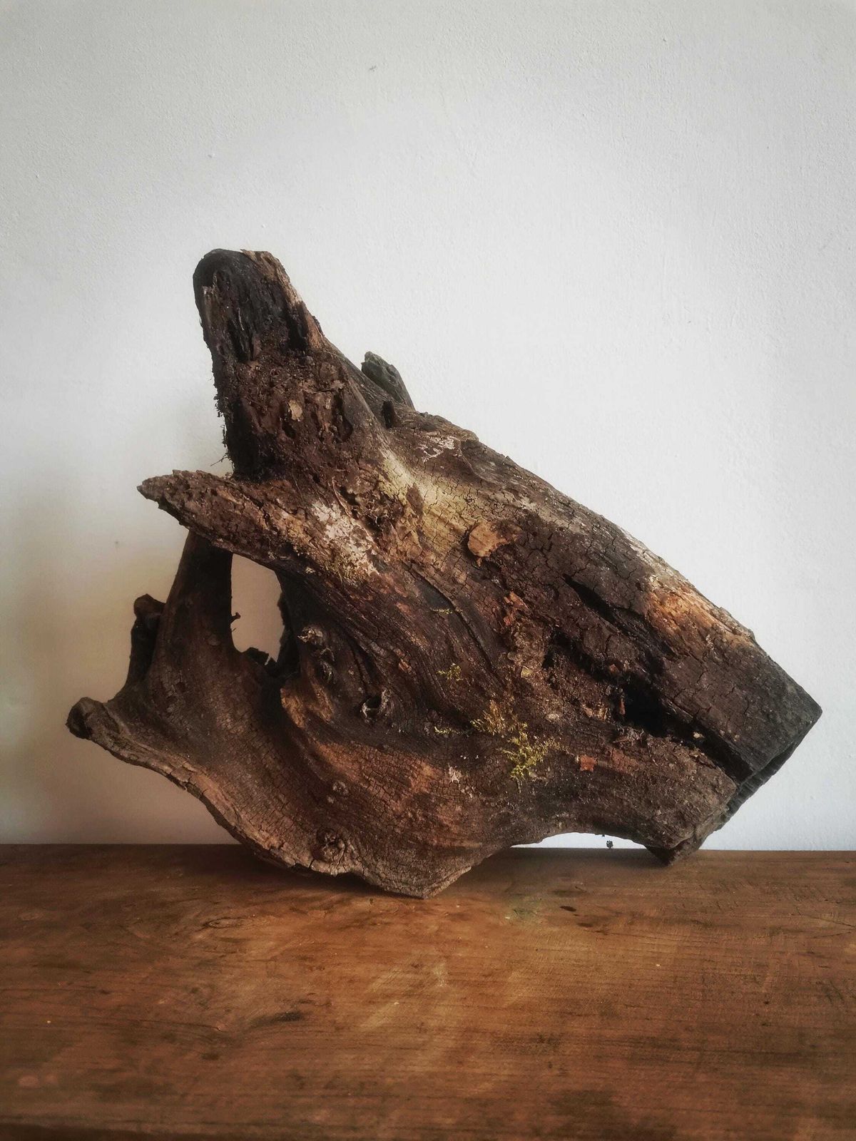 Wildcrafted Oak Driftwood Sculpture Naturally Formed Art From Zselic Starry Skies Forest, Hungary. Aged Wood, Stunning, Cow, Donkey
