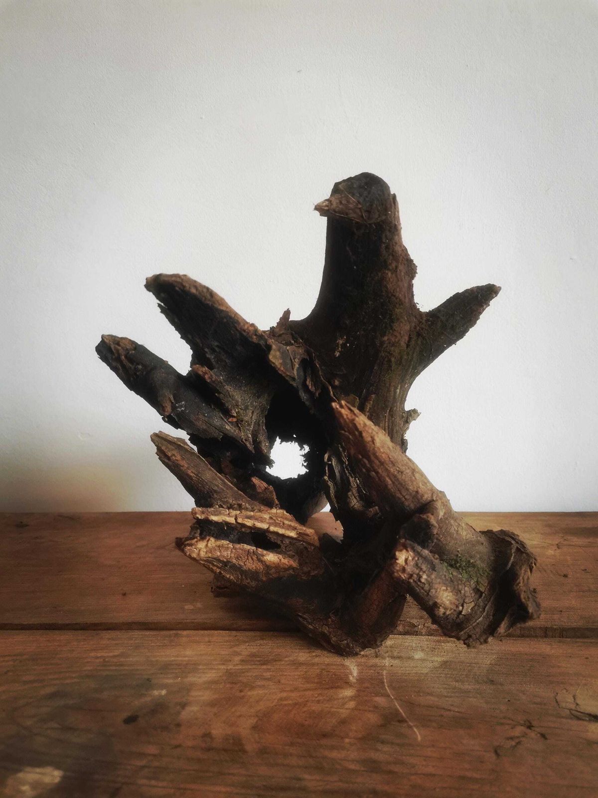 Wildcrafted Oak Driftwood Sculpture Naturally Formed Art From Zselic Starry Skies Forest, Hungary. Aged Wood, Stunning, Cow, Donkey photo for sale