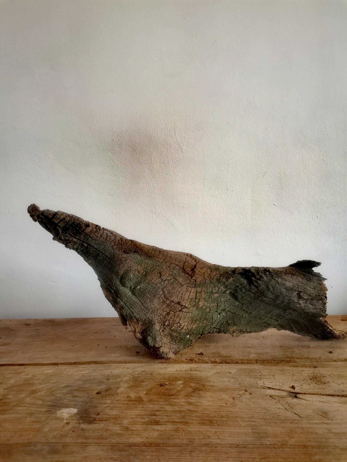 Wildcrafted Oak Driftwood Sculpture Naturally Formed Art From Zselic Starry Skies Forest, Hungary. Aged Wood, Stunning, Wild Boar & Reptile photo buy