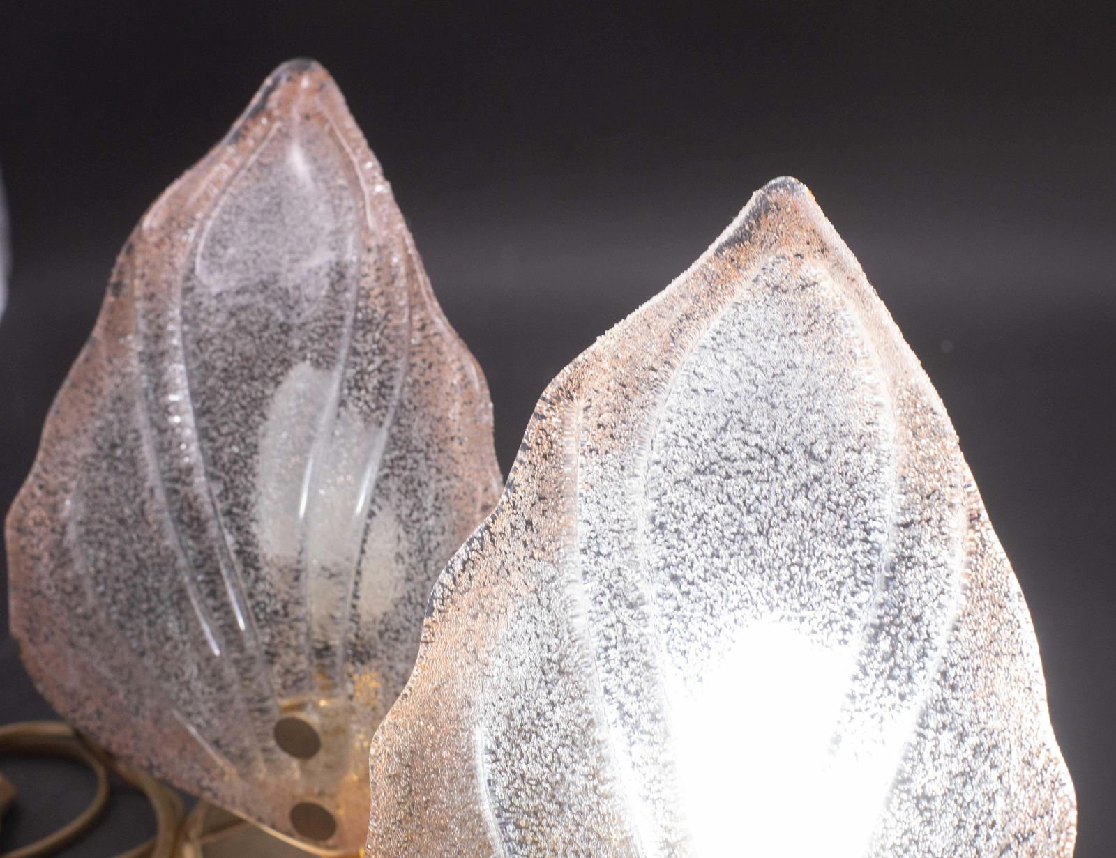 Set Of 2 Pink Murano Glass Leaves Table Lamp, 1980s photo vintage