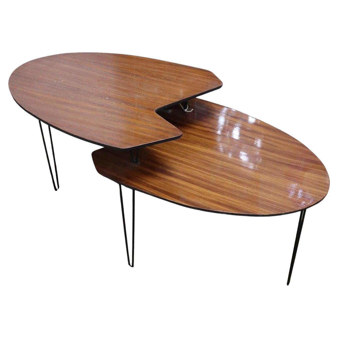 Italian Mid Century Coffee Table In Mahogany And Metal By Isa Bergamo, 1960s