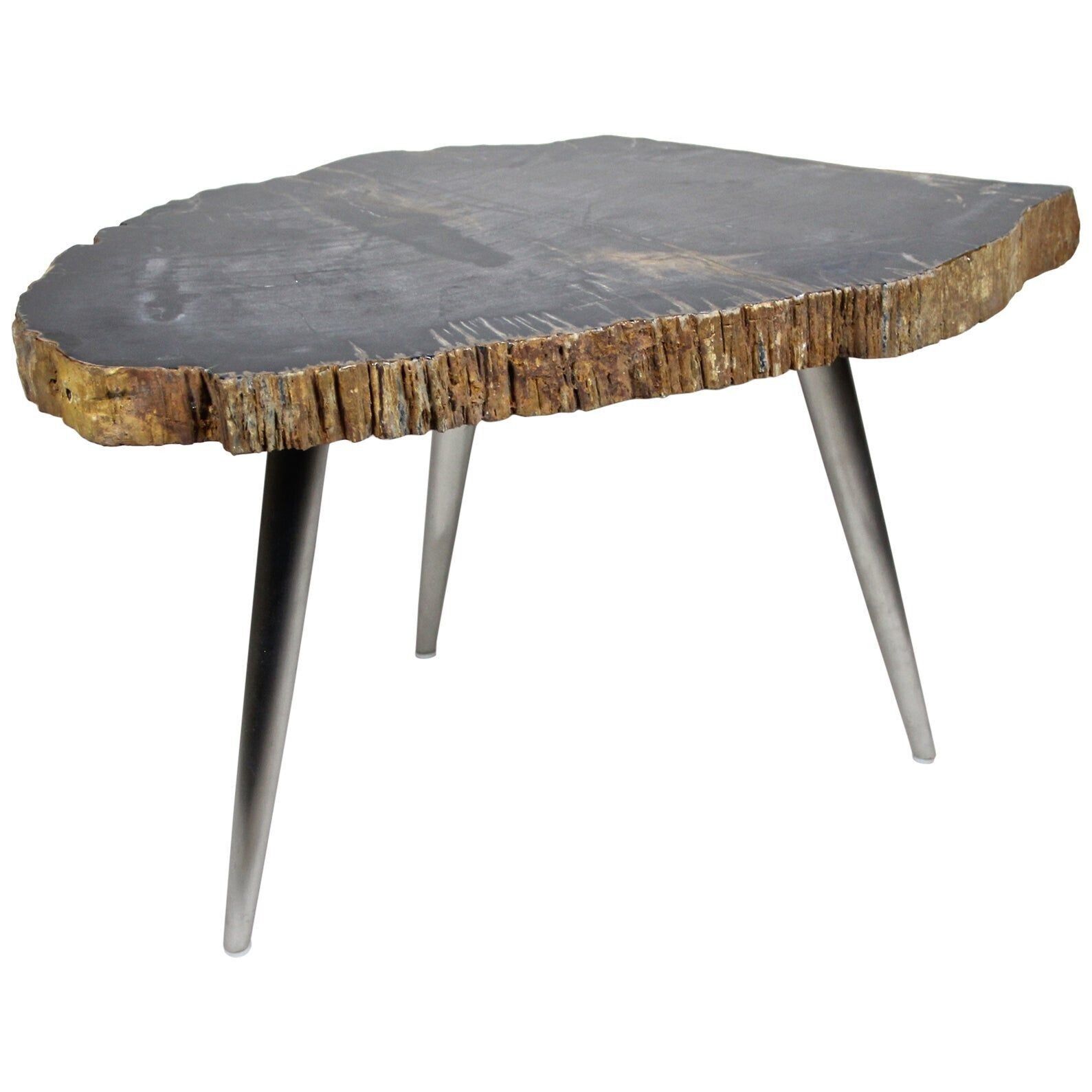 Petrified Wood Side Table With Stainless Steel Feet, Organic Modern, Idn 2021