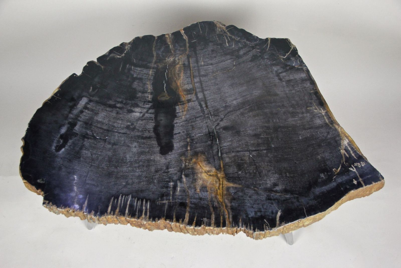 Petrified Wood Side Table With Stainless Steel Feet, Organic Modern, Idn 2021 photo for sale