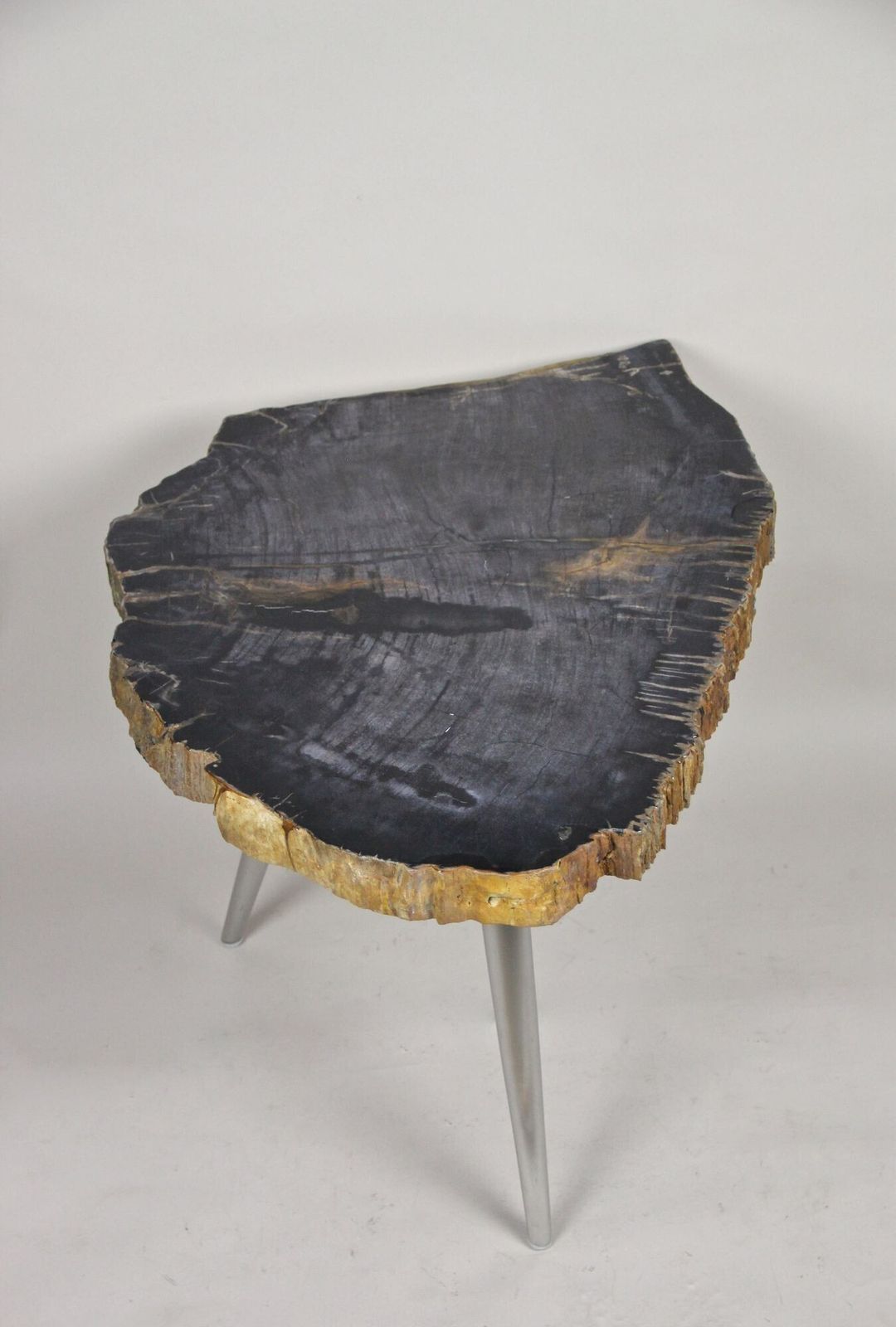 Petrified Wood Side Table With Stainless Steel Feet, Organic Modern, Idn 2021 photo buy