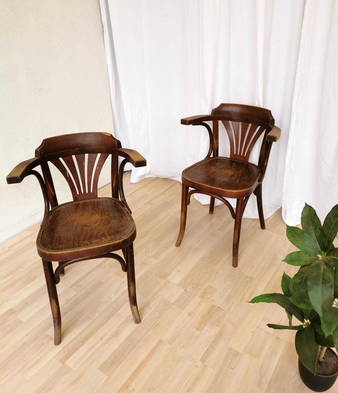 1 Of 2 Vintage Wooden Dining Chairs / Irish Pub Dine Chairs With Bentwood Technique / Mid Century Dine Armchair With Armrests Thonet Style