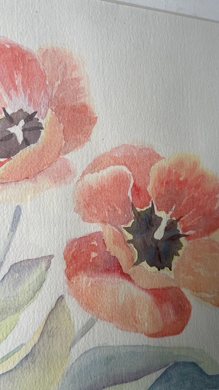 Ron Flewitt Watercolour Painting Of Poppies – Framed & Glazed Floral Artwork photo vinterior