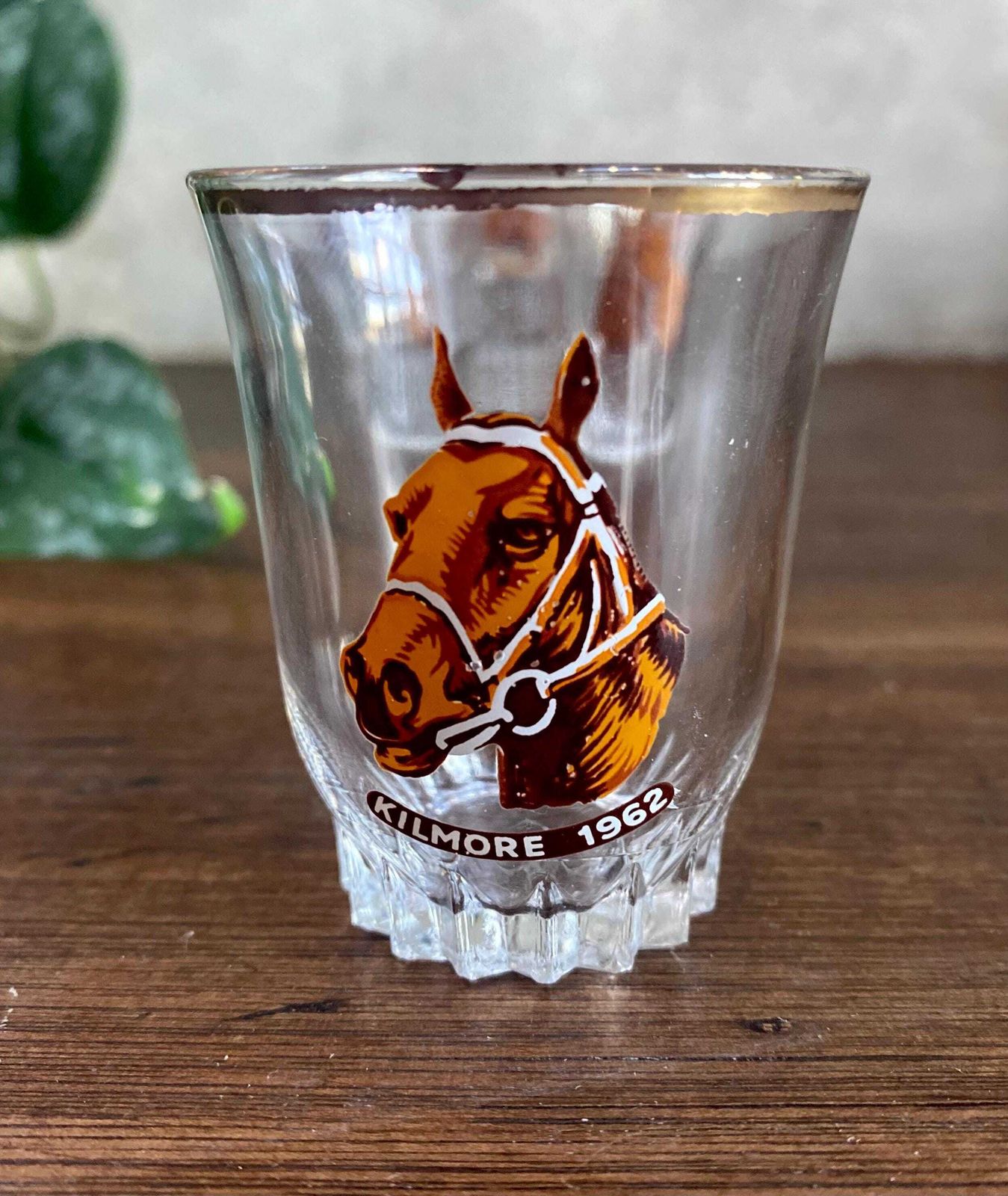 Vintage Horses Shot Glasses | Set Of 4 | Grand National Winners | Vintage Barware | New Home Gift | Wedding Gift. photo for sale