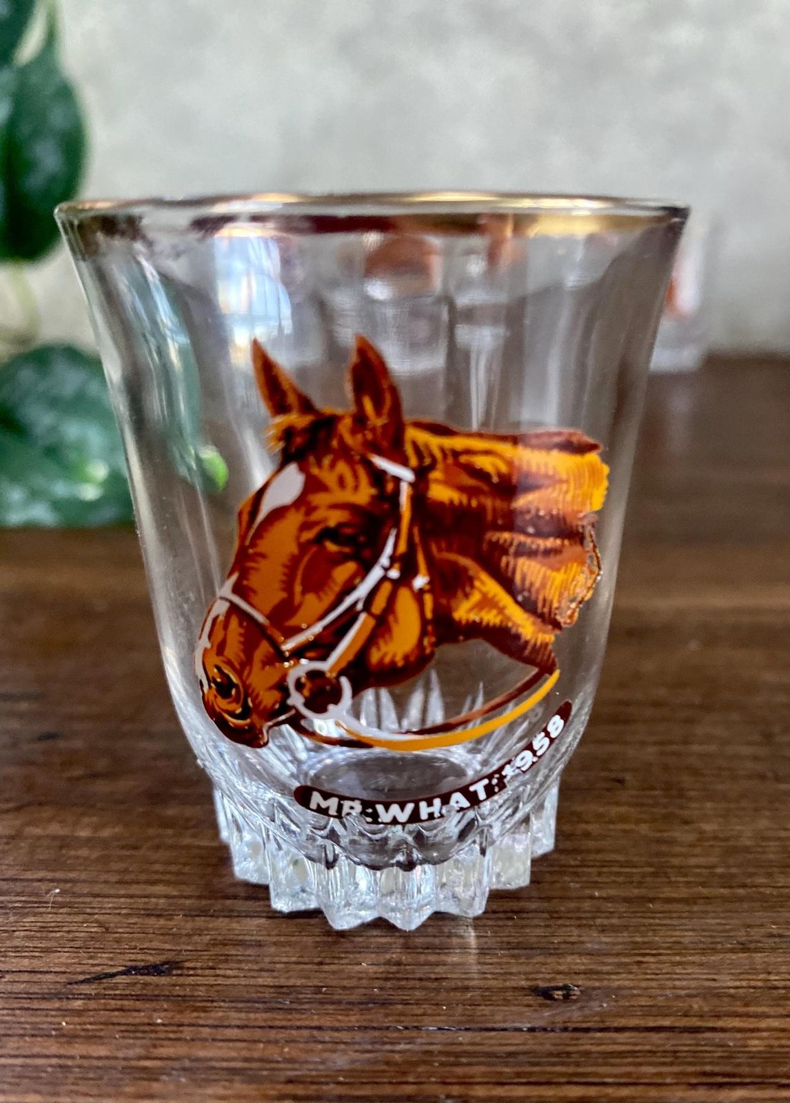 Vintage Horses Shot Glasses | Set Of 4 | Grand National Winners | Vintage Barware | New Home Gift | Wedding Gift. photo vinterior