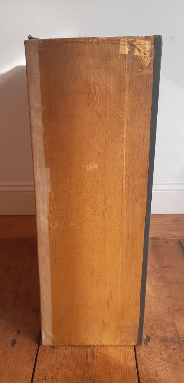 Antique Great Black Backed Gull Cornish Cased Large Magnificent Specimen Labels photo vintage