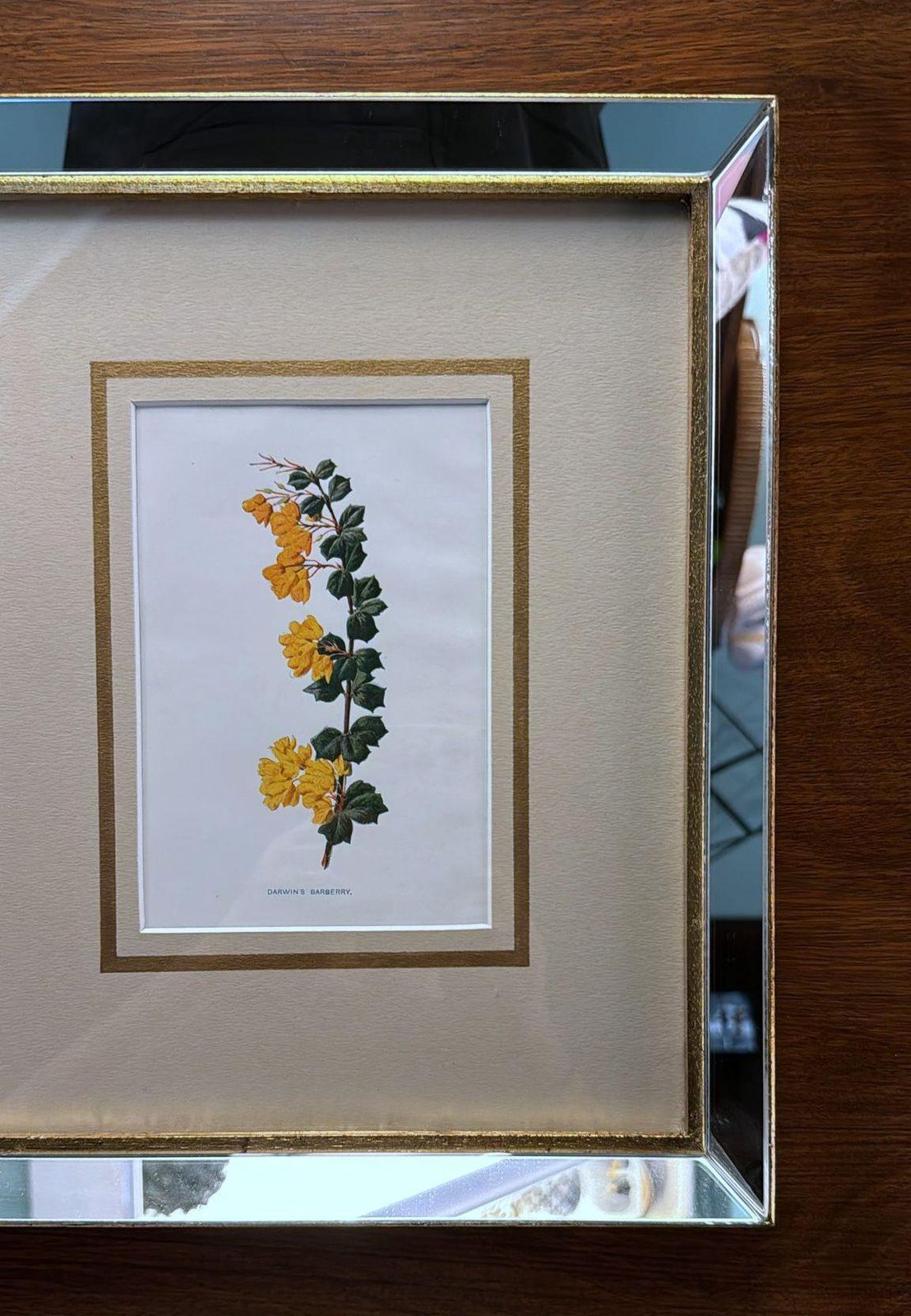 Italian Frame With Mirrors And English Chromolithographic Prints Of Flowers   05 photo 380.0