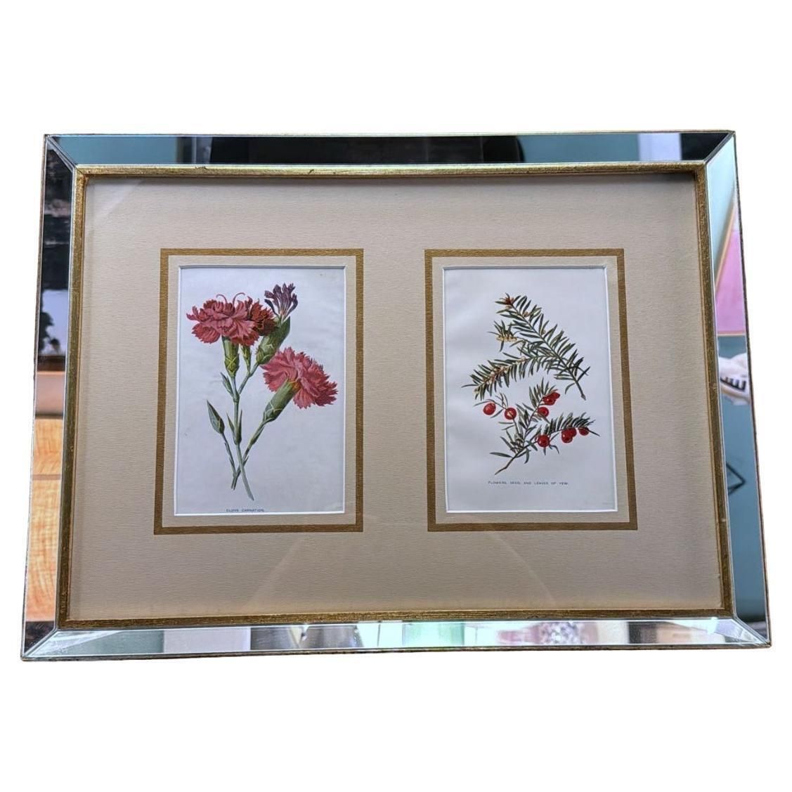 Italian Mirror Frame With English Chromolithographic Floral Prints   04