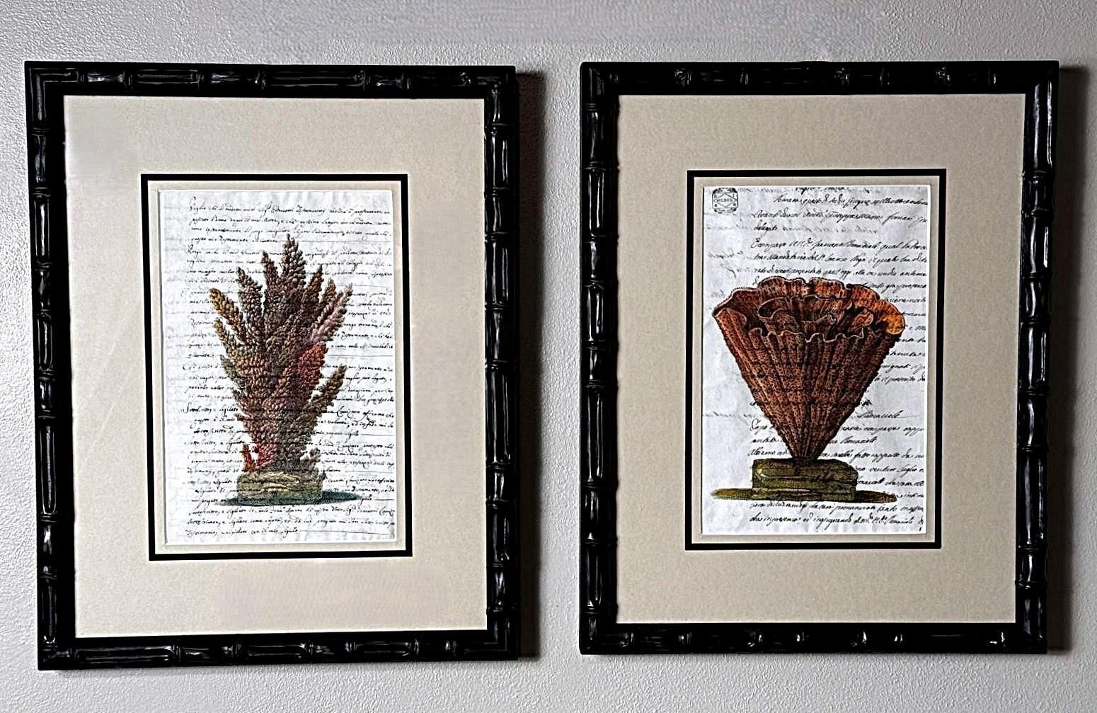 Pair “Faux Bamboo” Frames With Old Italian Shell Prints With Overwritten Text. photo for sale