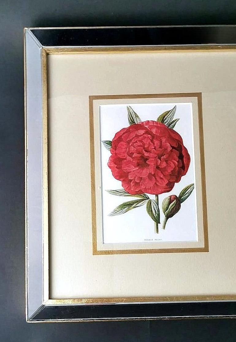 380.0 Italian Mirror Frame With English Chromolithographic Floral Prints  06 photo