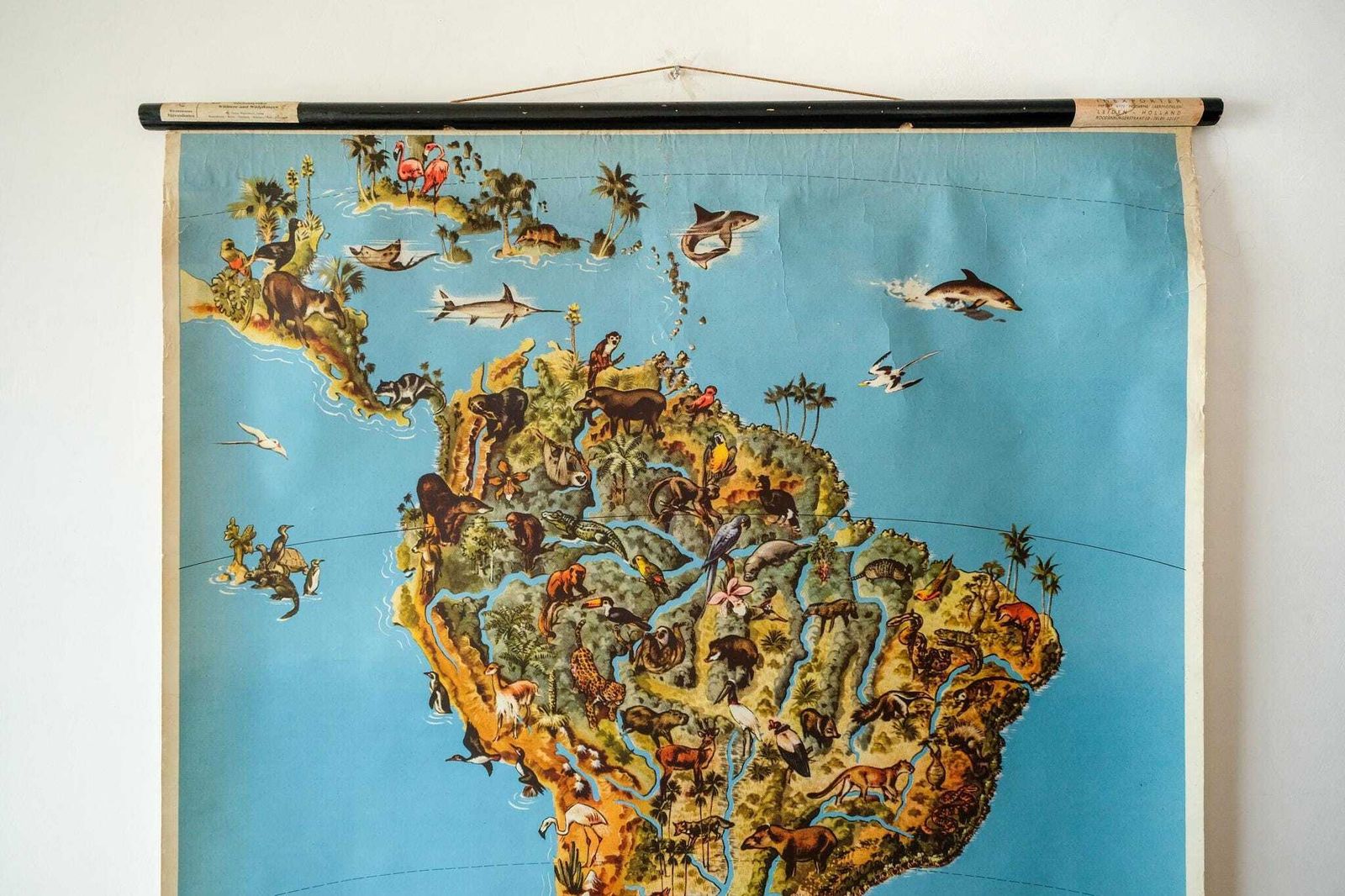 Original Vintage Mid Century German Educational School Wall Chart South America Map Wildlife Quirky Geography Beautiful Rare Westermann photo furniture
