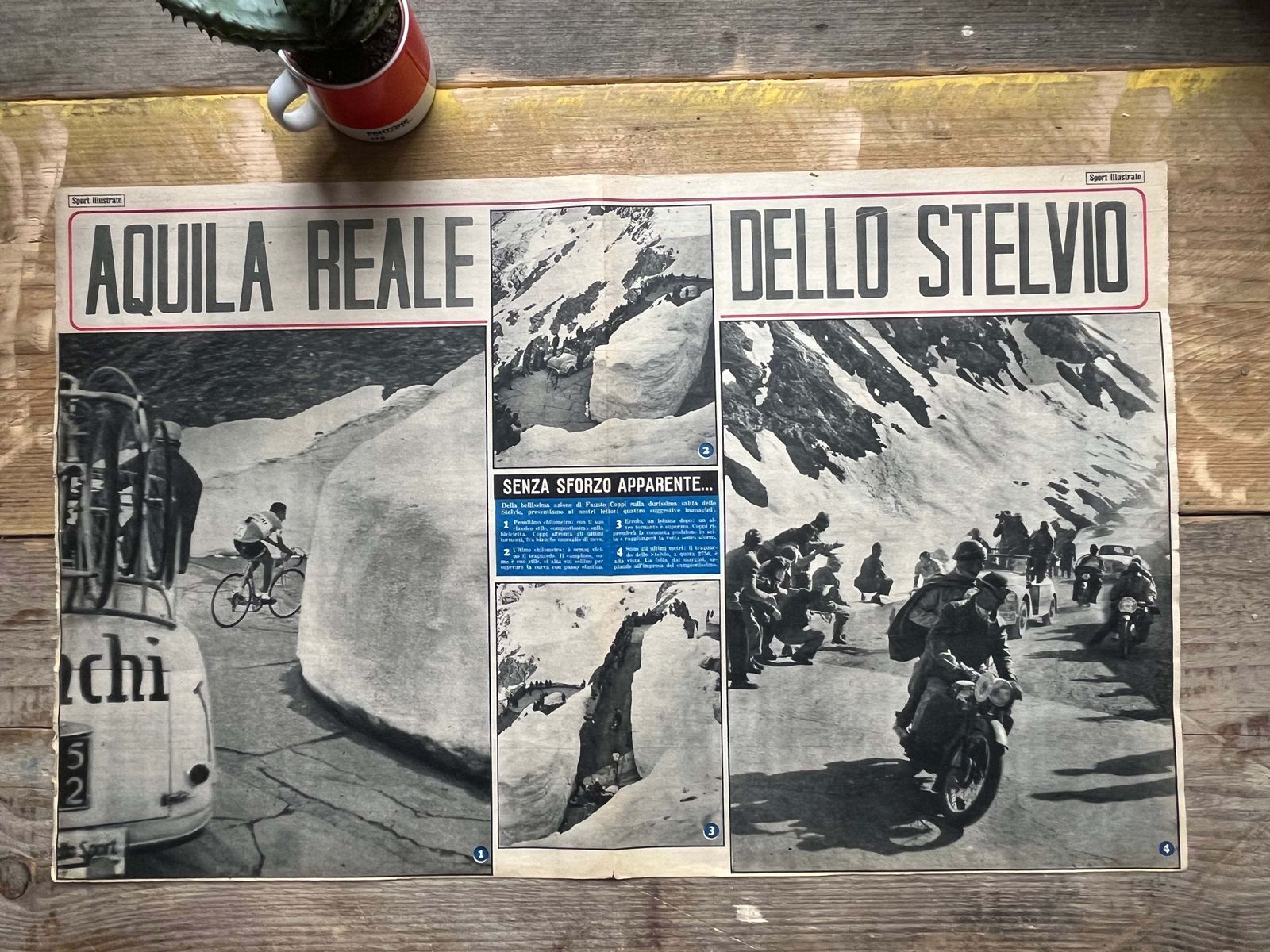 Vintage Cycling Print   Fausto Coppi, Stelvio Pass, Bianchi Original, 1953