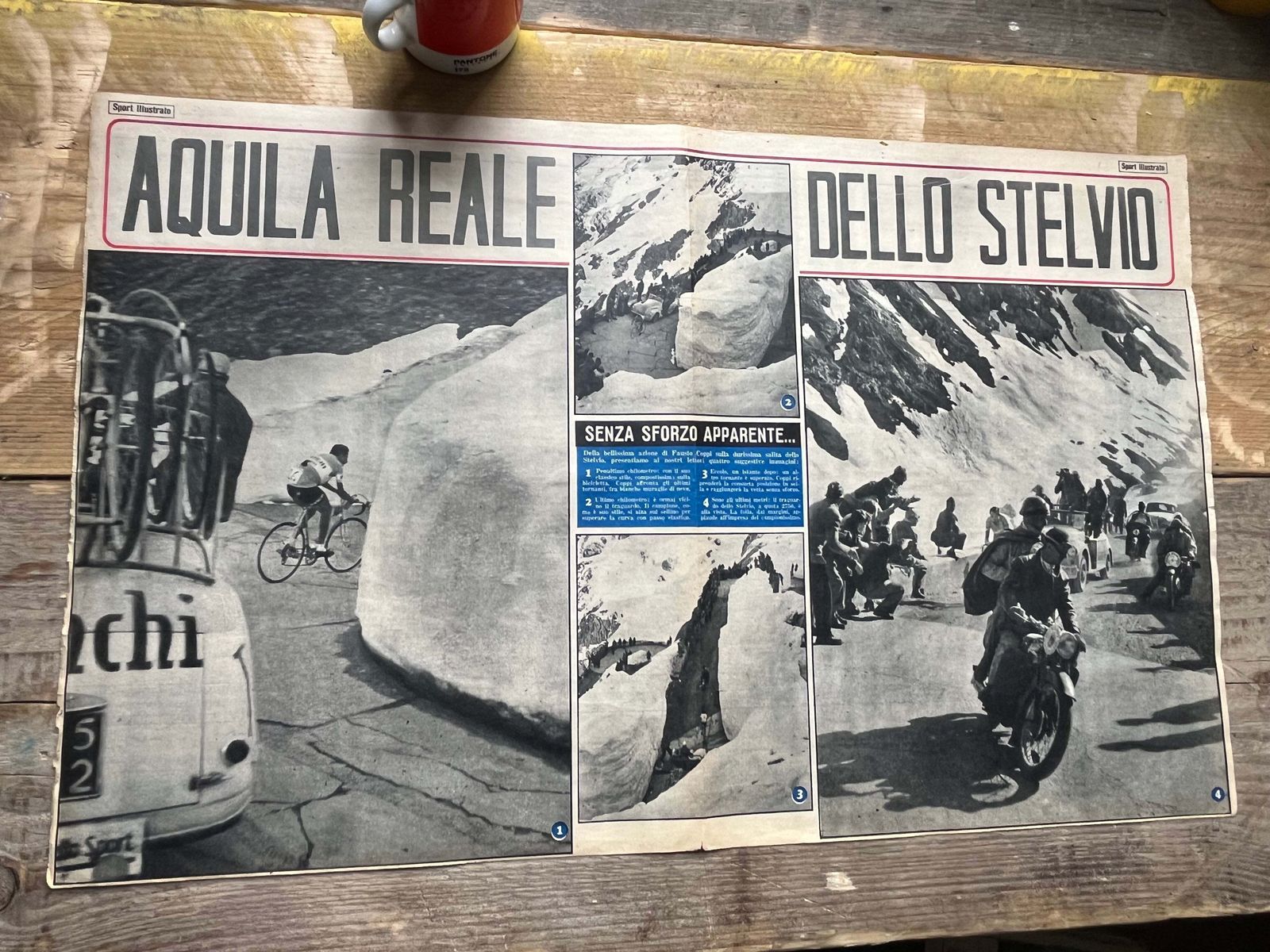 Vintage Cycling Print   Fausto Coppi, Stelvio Pass, Bianchi Original, 1953 photo vintage