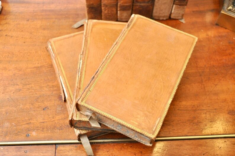 Sir Walter Scott, Life Of Napoleon Buonaparte, 1st Edition, A&W Galignani, Paris photo Home Decor