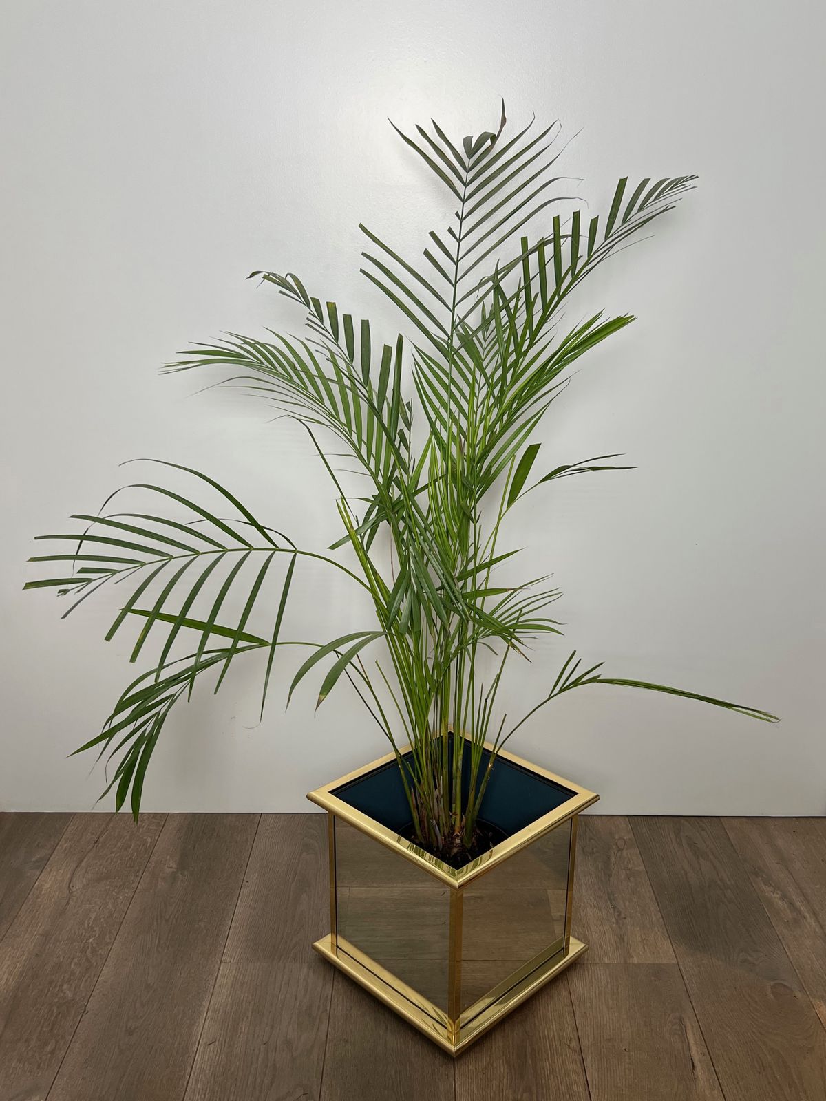 Mirrored And Gold Metal Planter photo for sale