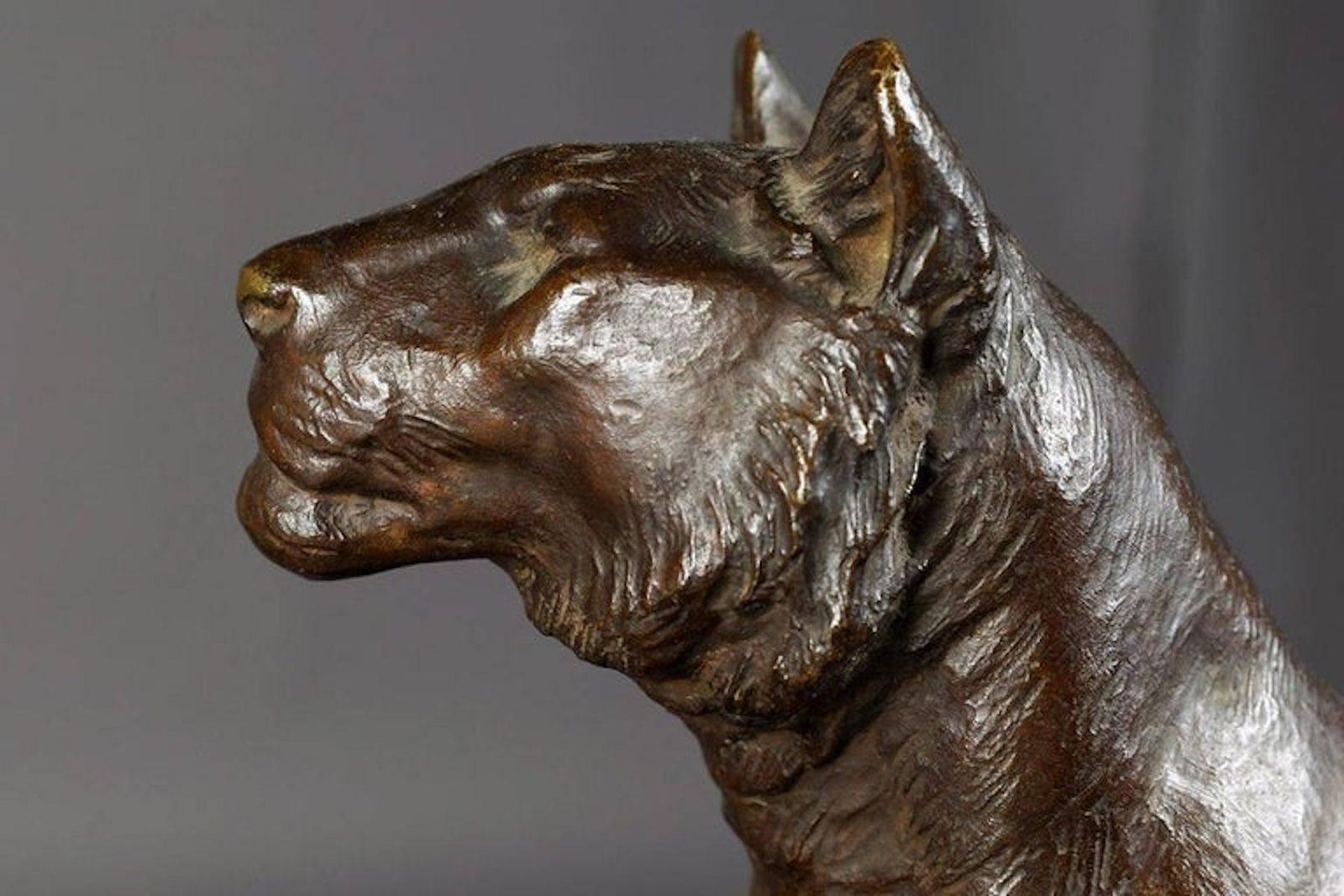 Early 20th Century Bronze Plastic Tiger Couple On Rocks By G. Gardet, 1863 1939 photo buy